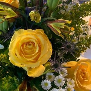 Meet your Posher, Sofia